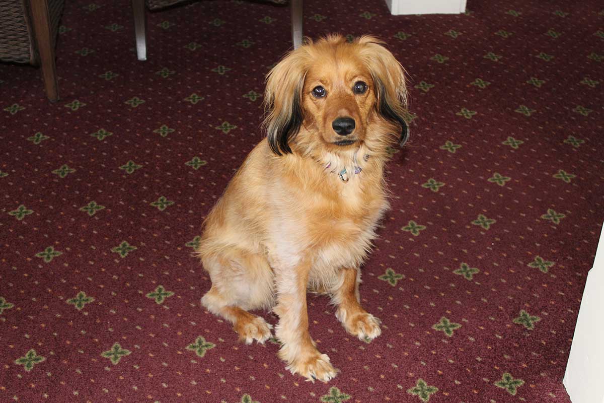 Broadview Assisted Living Winchendon MA · Broadview Assisted Living